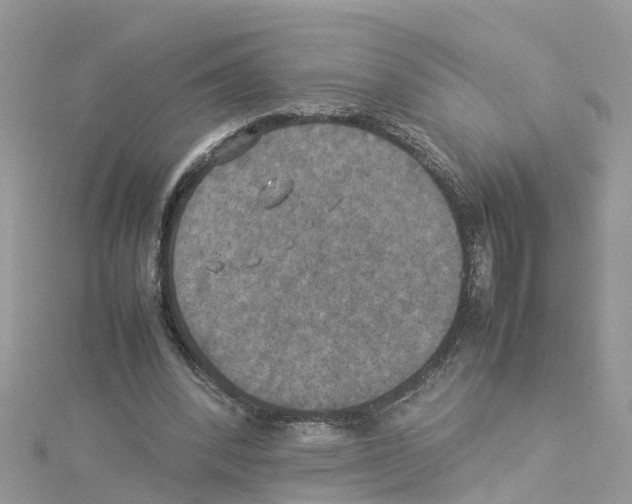 X0000114110392200911161123