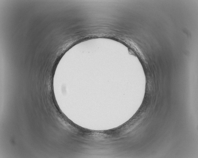 X0000114110393200911161123