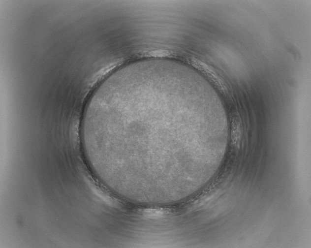 X0000114110394200911161123