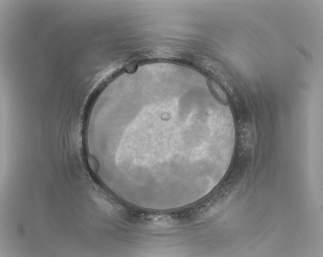 X0000114110395200911161123