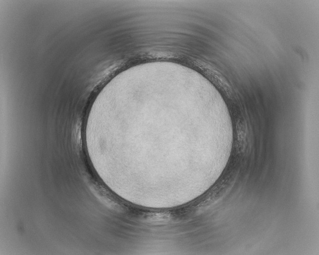 X0000114110398200911161123