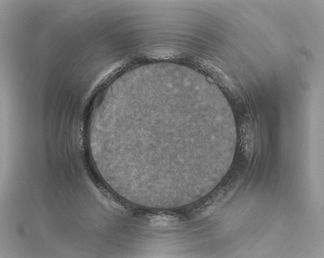 X0000114110400200911161123