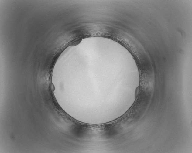 X0000114110405200911161123