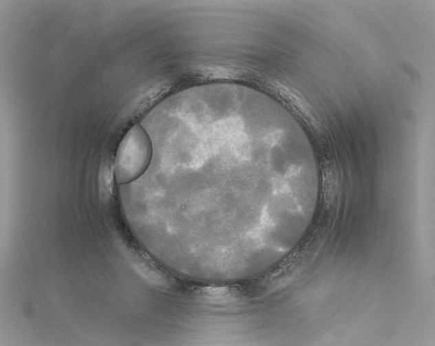 X0000114110406200911161123