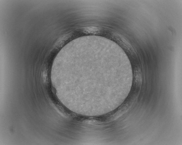 X0000114110408200911161123