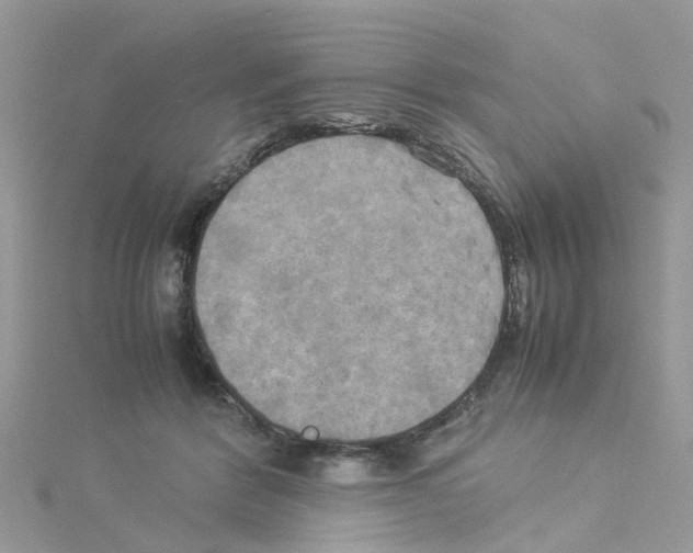 X0000114110412200911161123