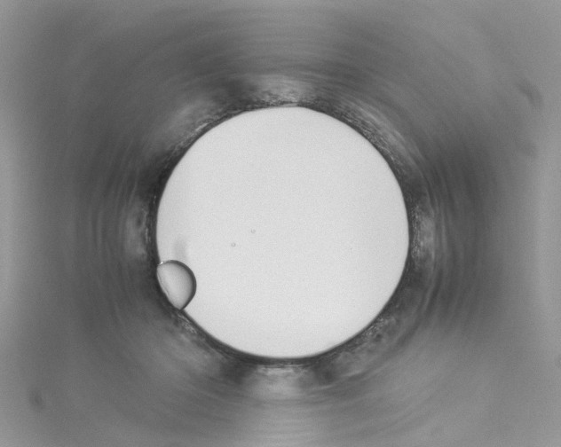 X0000114110414200911161123