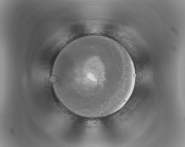 X0000114110415200911161123