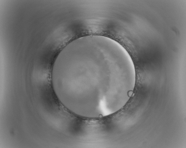 X0000114110419200911161123