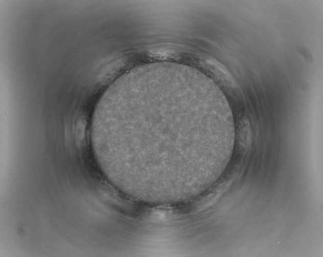 X0000114110420200911161122