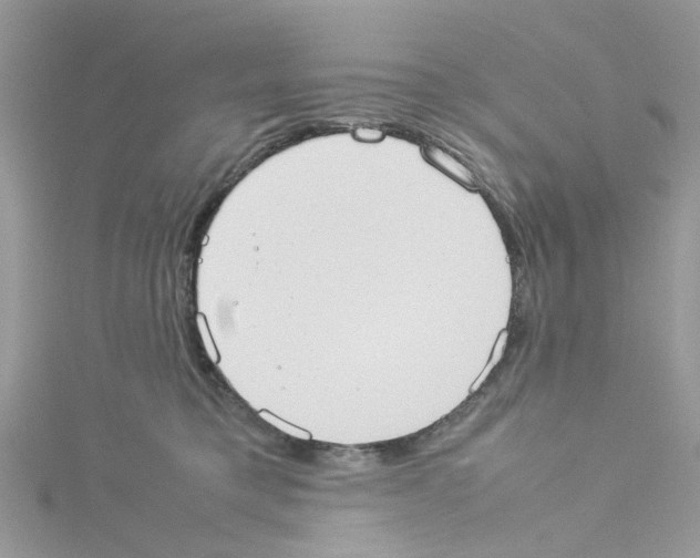 X0000114110421200911161122