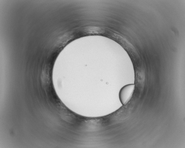 X0000114110422200911161122