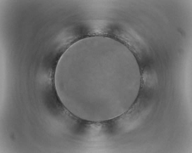 X0000114110423200911161122