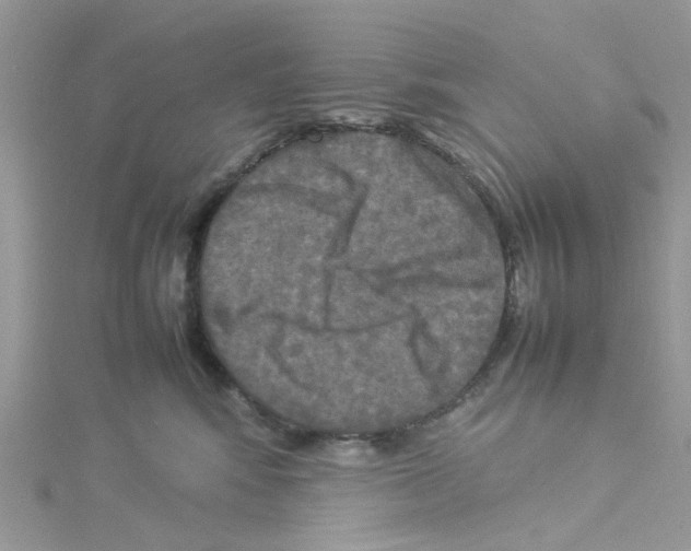 X0000114110424200911161122