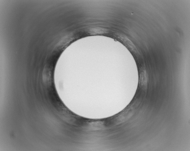 X0000114110426200911161122