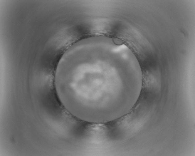 X0000114110427200911161122