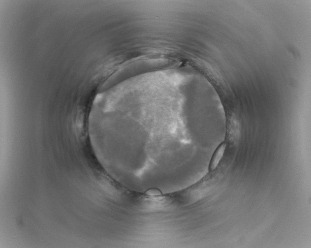 X0000114110428200911161122