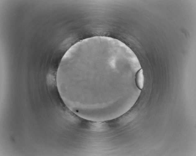 X0000114110432200911161122