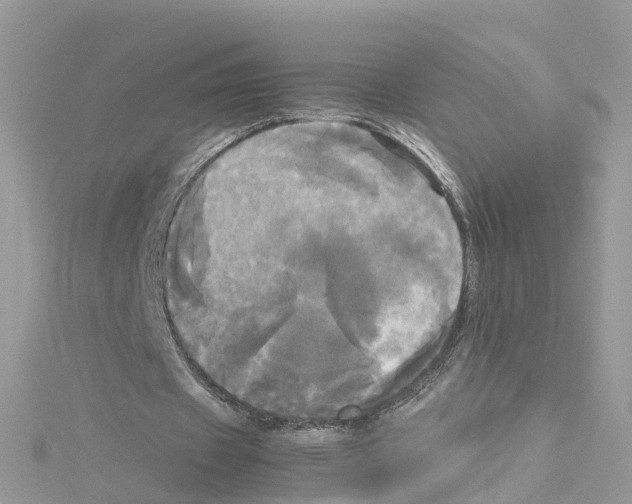 X0000114110433200911161122