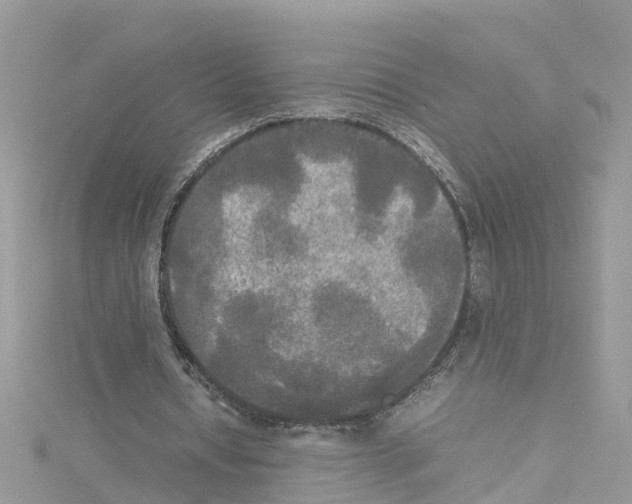 X0000114110434200911161122