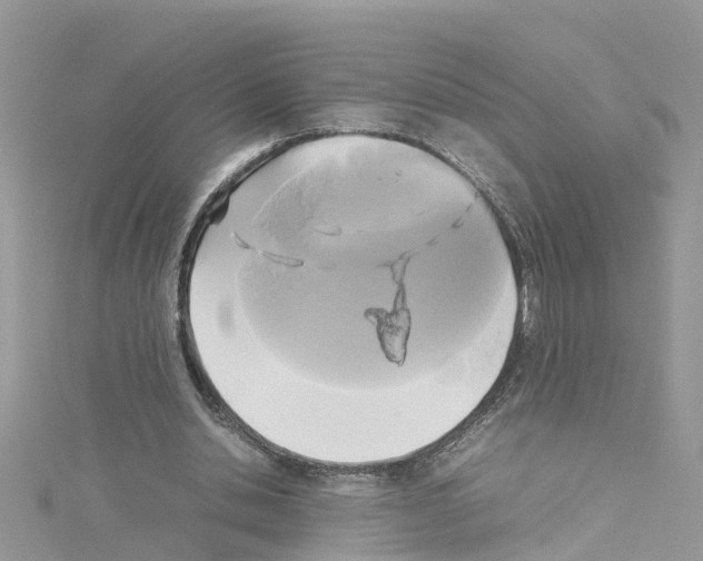 X0000114110438200911161122