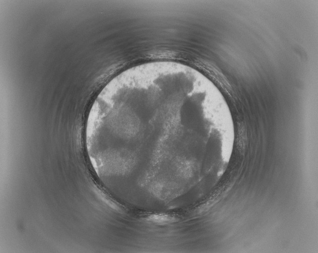 X0000114110441200911161122