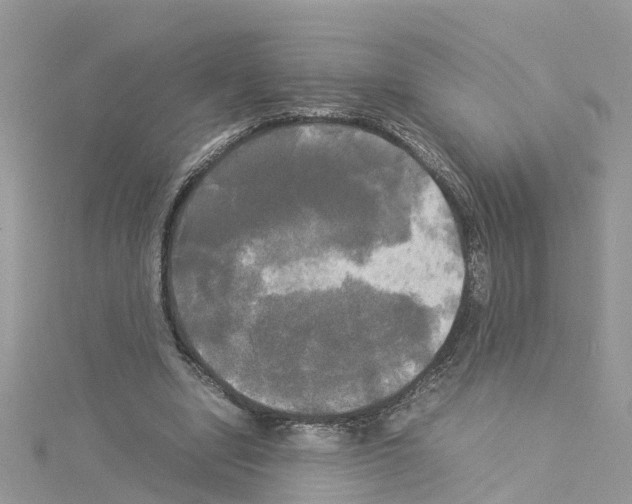 X0000114110442200911161122