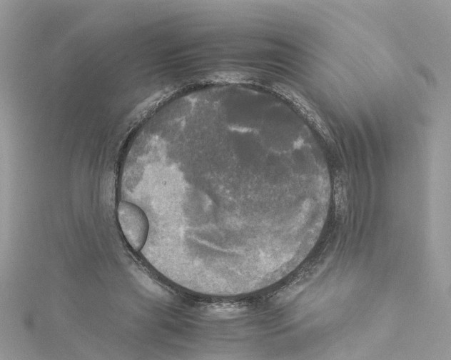 X0000114110445200911161122