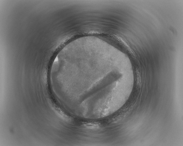 X0000114110447200911161122