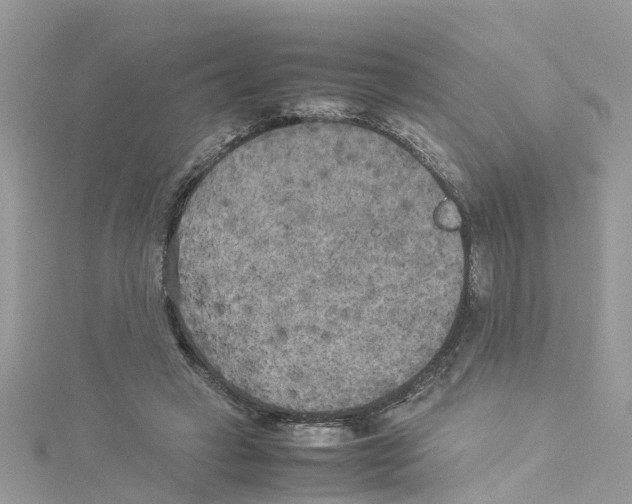 X0000114110449200911161122