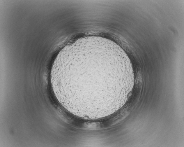 X0000114110452200911161122