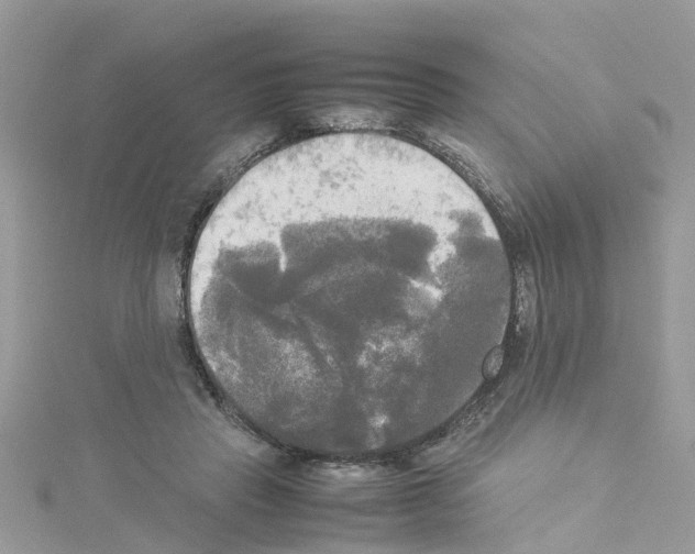 X0000114110453200911161122