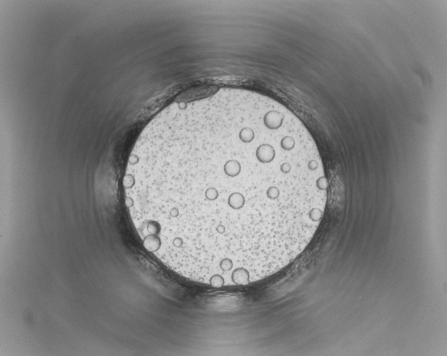 X0000114110456200911161122