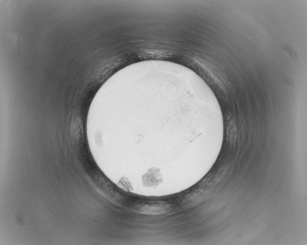 X0000114110459200911161122