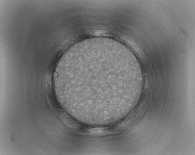 X0000114110461200911161122