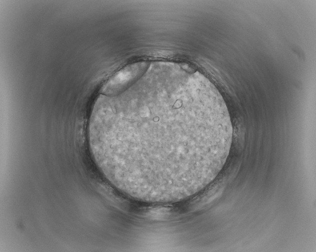 X0000114110462200911161122