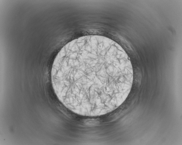 X0000114110465200911161122