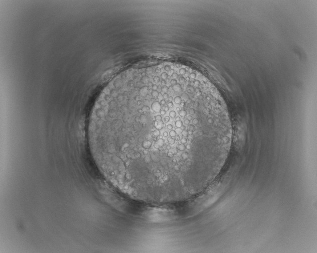 X0000114110466200911161122