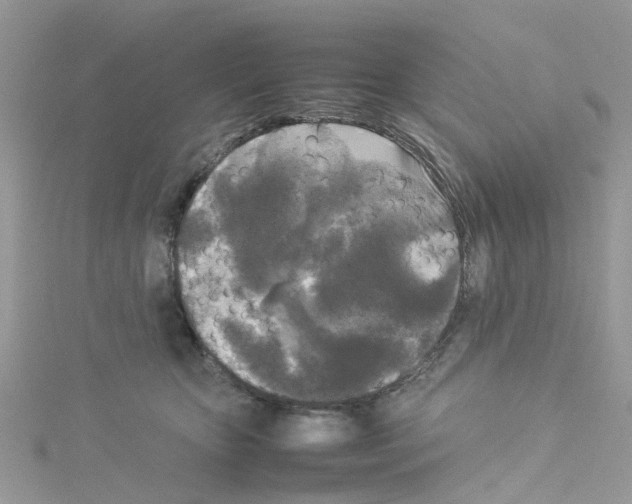 X0000114110467200911161122