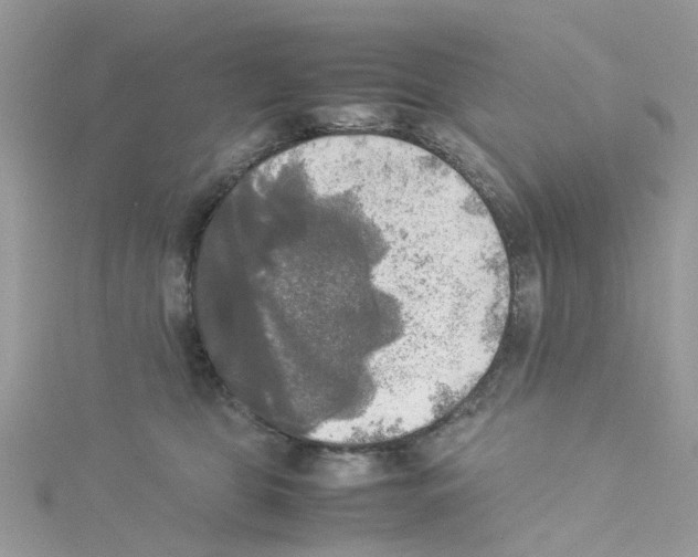 X0000114110469200911161122