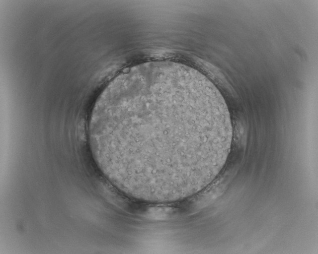 X0000114110470200911161122