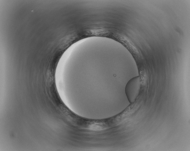 X0000114110471200911161122