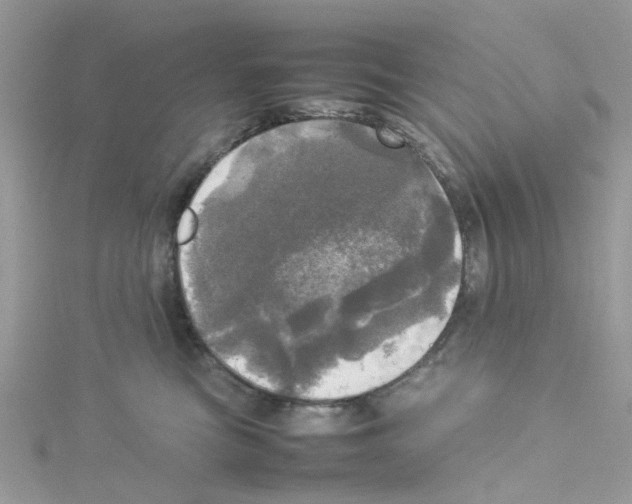 X0000114110473200911161122