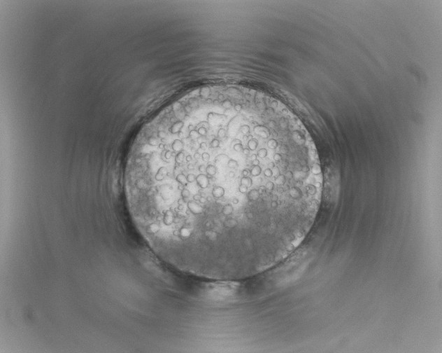 X0000114110474200911161122