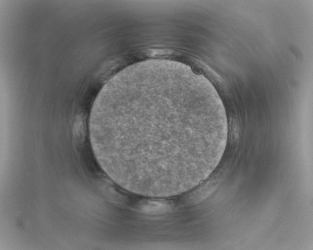 X0000114110475200911161122