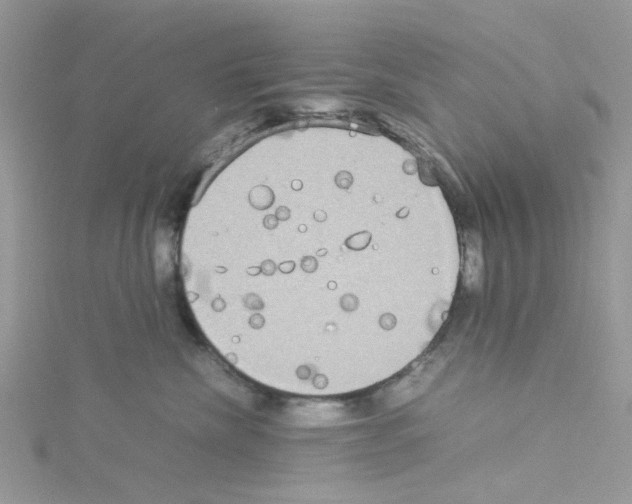 X0000114110476200911161122