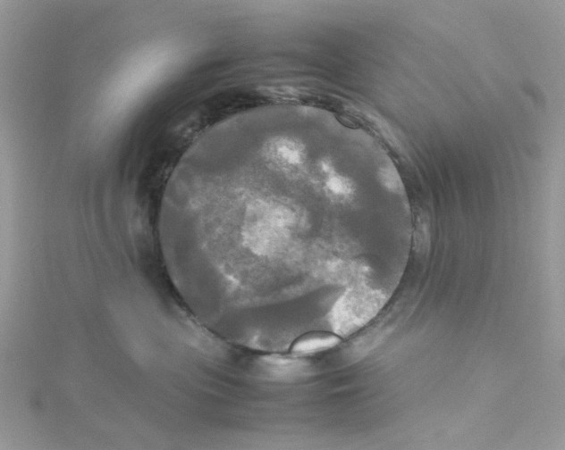 X0000114110477200911161122