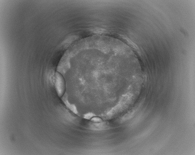 X0000114110479200911161122