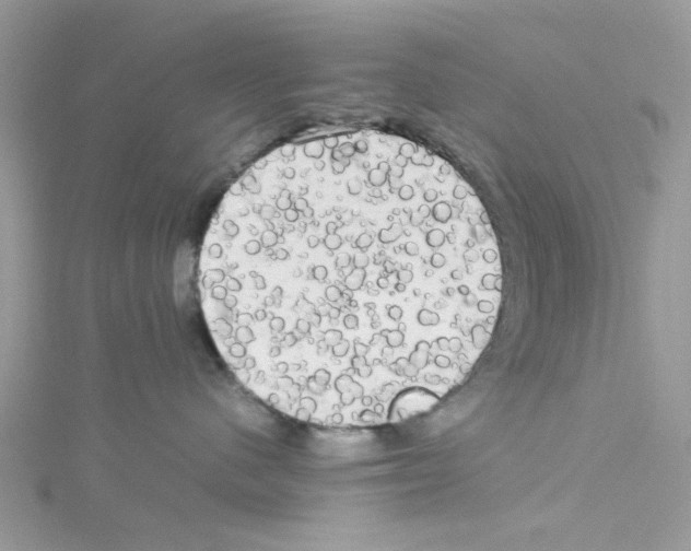 X0000114110480200911161122