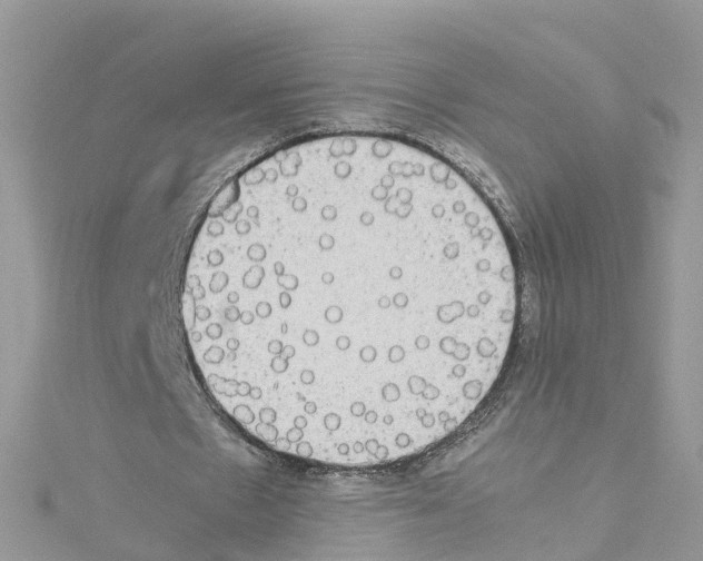 X0000114110481200911161122